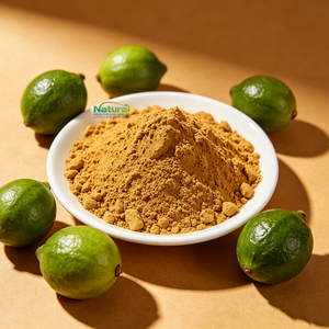 Extracto de <span class=keywords><strong>Feijoa</strong></span> Sellowiana en Polvo de Grado Alimenticio, Venta al por Mayor, Suministro de China - Product Image 1