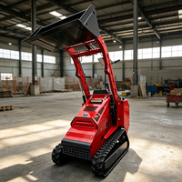 Supplier China Mini Skid Steer Loader Compact Tracked Skid Steer Loader dengan Bucket 0.15m3 untuk Lanskap