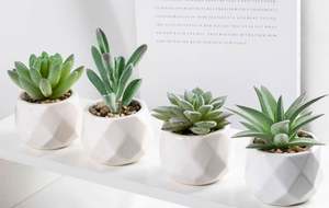 Mini Suculentas Artificiales de Alta Calidad, Simples, de PVC, Portátiles, para Decoración, Pequeñas Plantas en Maceta, Regalos Promocionales de Negocios - Product Image 3