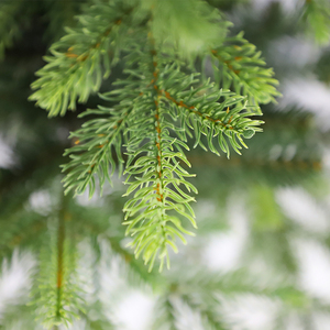 2023 New High Quality 7ft Fireproof Pe Pvc Mixed Xmas <b>Tree</b> Artificial Slim Christmas <b>Tree</b> With <b>Led</b> <b>Light</b> - Product Image 3