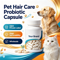 Capsule Probiotique Composée à Haute Efficacité, Fabrication en Usine, Marque Privée, OEM, Fournisseur de Souches Probiotiques Personnalisées, Vente en Gros