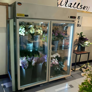 Armoire florale verticale Tokyo HIBIYA KADAN, commandes numériques, verre anti-condensation, dégivrage automatique pour la préservation de l'ikebana - Product Image 4