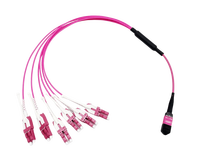 24F MTP to 12 LC DX Fanout Cable Fiber Optic Patch Cord CO-NET Brand FTTH/WDM Use