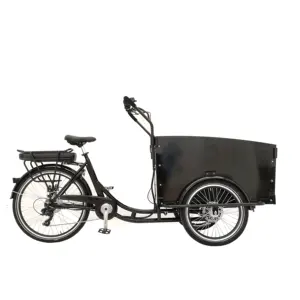 EU Warehouse Electric Cargo Bike With Rear Hub Motor 26 Inch 3 Wheel Tricycle Carry Kids And Goods
