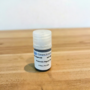 Perles magnétiques enduites de streptavidine pour la conjugation d'anticorps biotinylés, la purification des protéines et la recherche en biologie moléculaire - Product Image 1