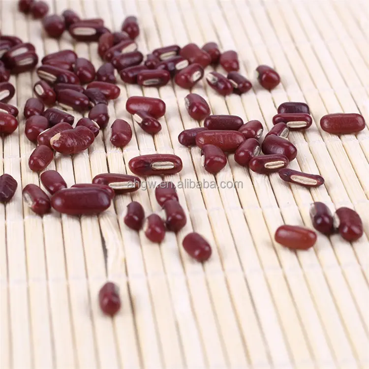 Tanaman baru adalah kacang Adzuki merah berkualitas tinggi, kacang bambu merah segar, kualitas tinggi dan harga bagus
