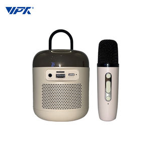 Nouveau microphone sans fil pour karaoké, haut-parleur, double microphone, portable, diffusion en direct en extérieur, karaoké à domicile, 100Hz-20kHz - Product Image 4