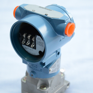 Rose Mount 3051CD - Pantalla Diferencial con Certificado de Calibración Q4, 02A1AB1Q4, IP67, Acero Inoxidable 316L - Product Image 6