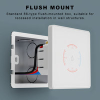 Interruptor Inteligente para Caldera con WiFi, 20A, Material ABS, Pantalla Táctil de Vidrio, Bloqueo Infantil y Medidor de Consumo