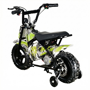 MAXSPEED 250DH PRO Pit Bike, moteur à balais 500W, batterie au plomb-acide 36V 12Ah, mini, vitesse 40km/h, moteur 500W/800W/1000W à balais - Product Image 2