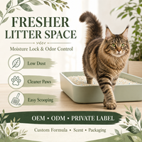 Litière pour chat écologique en tofu et manioc, contrôle longue durée des odeurs, facile à ramasser, commande en gros, marque privée, OEM, ODM pour importateurs