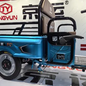 700W China Electric 3 Wheeler Trike For Cargo With Cargo Boxes With Strong Loading Capacity For Farmer Use Electric Tricycle