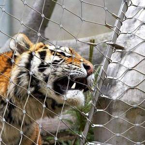 Filet de corde en acier inoxydable pour les enclos d'animaux de <span class=keywords><strong>zoo</strong></span>, permettant la transmission de la lumière, empêchant l'évasion/le vol/assurant la sécurité des visiteurs - Product Image 4