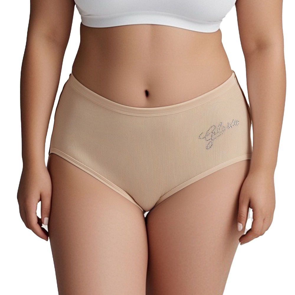 Bulk Pack Comfort Fit Women's Plus Size Briefs 12-Pack Cotton Underwear-Everyday Knitted Style (Low Price)