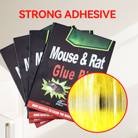 Ventes Directes Usine : les Pièges à Souris Super Collants les Moins Chers pour Capturer les Grosses Souris