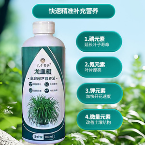 Solution nutritive Dragon Blood Tree pour huit vieillards du jardin, 300 ml, engrais liquide pour plantes d'intérieur - Product Image 2