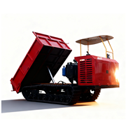 500kg Landwirtschaftlicher Raupendumper, Mini Hydraulischer Kipp-Raupentransporter für Obstgärten