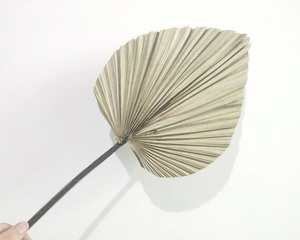 Abanico de hojas de palma secas de bambú decoración del hogar material natural elegante - Product Image 2