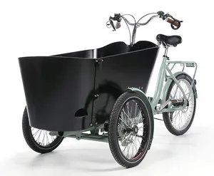 European Market 3 Wheels Electric Cargo With 250w Motor Bike Use For Family