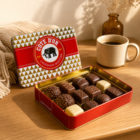 Boîte en fer blanc rectangulaire pour biscuits et chocolats de qualité alimentaire – Emballage promotionnel pour gâteaux et friandises
