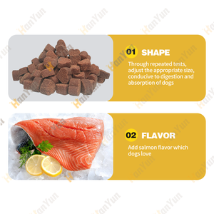 Hanyun Advanced Cognition Soft Chews para perros con Omega 3 DHA Ashwagandha Suplemento para la salud del cerebro de los perros mayores 120 Chews - Product Image 3