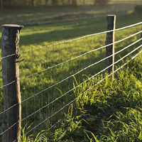 Vente en gros de nouveaux matériaux, clôture de terrain en herbe multifonctionnelle galvanisée électrique, structure solide, hauteur de 4 pieds, 6 pieds, 8 pieds, antirouille
