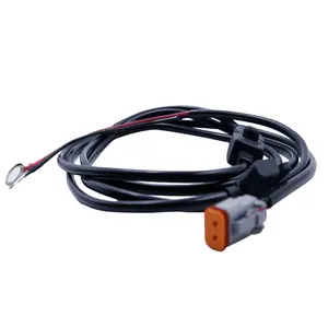 Deutsch 2P Auto Connector Custom Wire Harnesses for Vehicle Applications