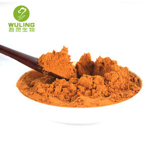 OEM/ODM травяной 7 гриб экстракт порошка 100 г, maitake Львиная Грива chaga shiitake cordyceps <span class=keywords><strong>ganoderma</strong></span> экстракт 30% Полисахариды - Product Image 5