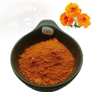 Colorant alimentaire extrait de fleur de souci zéaxanthine lutéine poudre 5% 10% 20% meilleurs fournisseurs de prix