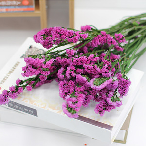 Naturel Real Touch DIY fait à la main séché préservé fleur éternelle Forget-Me-Not longue durée fleur décorative préservée Statice - Product Image 3