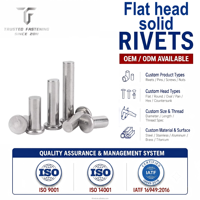 TianFang Fabricant Rivets Pleins Tête Plate Métal Durable Taille Personnalisée Acier Aluminium IATF16949 Fixation pour Véhicule