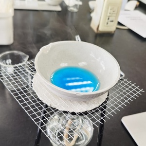 Plato de Evaporación de Porcelana de Laboratorio con Fondo Redondo de Cerámica Blanca Resistente al Calor - Product Image 1