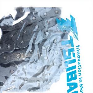 โซ่ลูกกลิ้งสองแถวแท้จากญี่ปุ่น รุ่น Tsubaki RS10B-2 ผลิตจากเหล็กกล้าคาร์บอน ขายตรง - Product Image 3