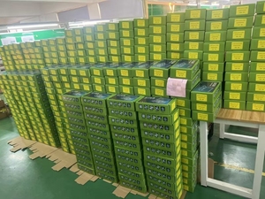 Eliminatore di Zona Morta per Cavo di Lancio OTDR in Fibra Ottica <span class=keywords><strong>SM</strong></span> MM di Alta Qualità, 500m 1km 2km - Product Image 6