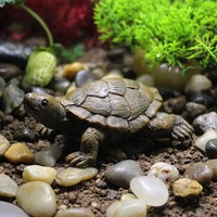2024 nouveaux produits tortue de mer sculpture à vendre résine tortue décoration figurine souvenir résine artisanat matériaux