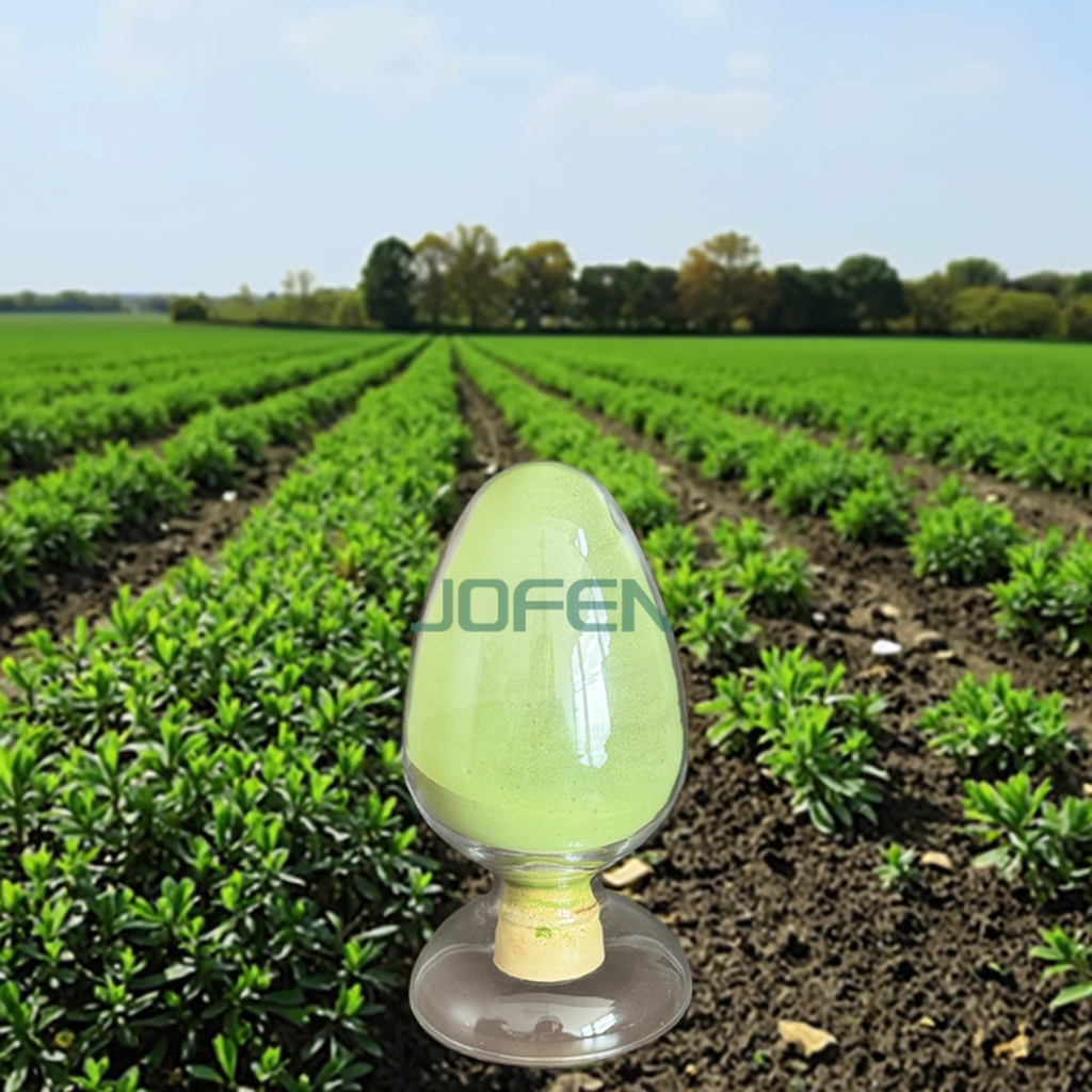 Seaweed Extract Foliar Fertilizer Powder Manufacturer
