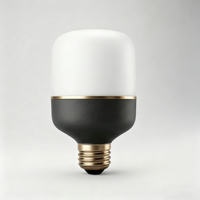 Personnalisation de moules privés, ampoule LED T de haute qualité T50 T180 T100 3000K/4000K/6500K E27, ampoule LED T, lampe LED pour usage intérieur