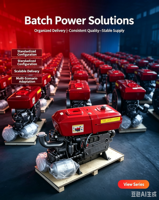 Moteur diesel monocylindre refroidi par eau ZS1100, 12 CV, 11,03 kW, norme d'émission Euro 3, démarrage électrique, démarrage par lanceur, facile à utiliser