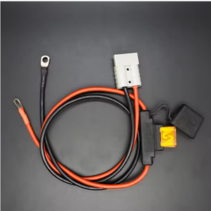 Кабельные сборки и жгуты проводов OEM на заказ с разъемами для использования в автомобильной и мотоциклетной промышленности - Product Image 3