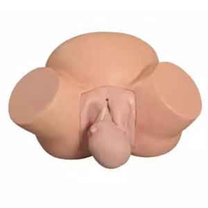 Modelo de Midwifery para enseñanza de ciencia médica, simulador de parto anómalo, modelo pélvico femenino para entrenamiento - Product Image 1