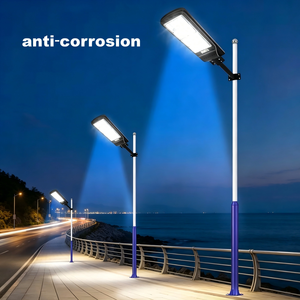 Farola Solar Costera de Alta Resistencia con Carcasa de ABS |   Paneles Solares de 4 Lados |   Solución de Ingeniería Resistente al Viento y a la Corrosión - Product Image 6