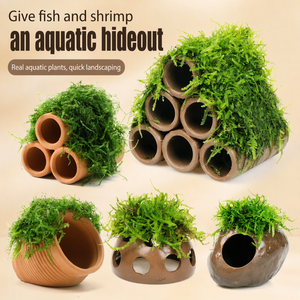 Maceta de terracota con musgo para <span class=keywords><strong>acuario</strong></span>, decoración para paisajismo acuático, escondite decorativo para camarones, refugio para cría de peces pequeños, aquascaping - Product Image 2