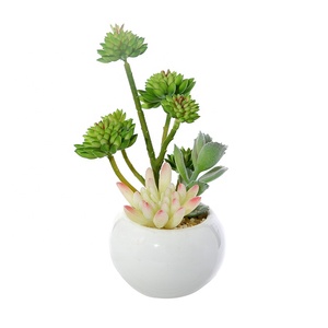 Wholesale 4 artificial succulent in plastic pot mixed succulent plant with ceramics pot