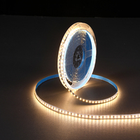 Kit de bande LED en cuivre 2835 24V, éclairage néon RGBIC, ensemble d'éclairage sur circuit imprimé nu, accessoires d'alimentation, longue portée