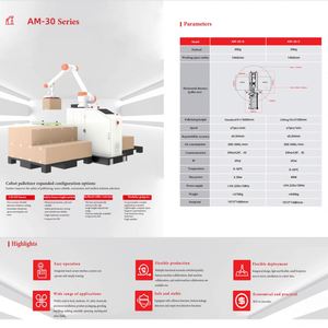 Robot de palettisation collaboratif automatique 2026, capacité 20-30 kg, système de palettisation de cartons, moteur PLC, 6 axes, résistant à l'eau - Product Image 4