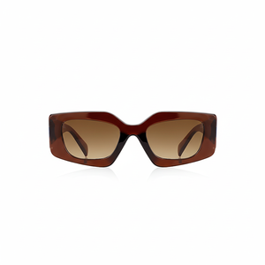 Lunettes de soleil Marron Brillant 1055 - Product Image 1