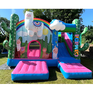 Château Gonflable Commercial Rose avec Toboggan Alpaca pour Fête d'Anniversaire, Qualité Professionnelle, Hpfburg - Product Image 3