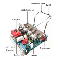 Utilisation automatique de semoir d'ail et de gingembre pour la plantation et le repiquage pour l'usage de ferme