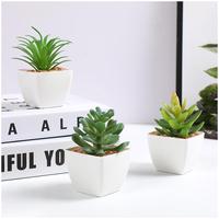 Plantes décoratives artificielles pour mur et plafond, design moderne et écologique, pour décorations de Noël et de maison, et pour la photographie
