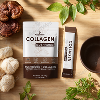 Poudre de Collagène aux Champignons Aeglewell, Sans Gluten, Sachet Personnalisé en Doypack pour Collagène Végétal aux Champignons